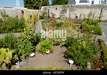 Vue de la Physic Garden Cowbridge Vale of Glamorgan South Wales UK Banque D'Images