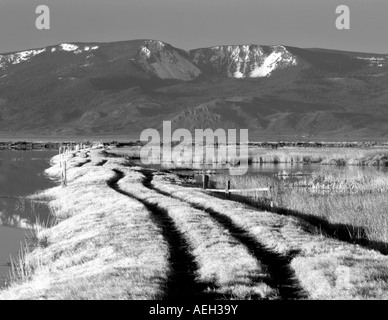 En route avec l'herbe d'hiver couvert de neige d'été Rim Lake State Wildlife Refuge Oregon Banque D'Images