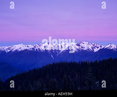 Rose et bleu le lever du soleil sur les montagnes Olympiques Olympic National Park Washington Banque D'Images