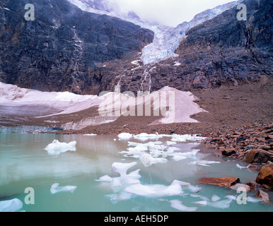 Petits icebergs dans le Tarn lac depuis le glacier Angel Mt Edith Cavell, Parc National de Jasper, Canada Banque D'Images