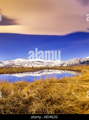 Miroir d'eau de l'eau et de l'est de la Sierra montagnes près de Bridgeport en Californie Banque D'Images