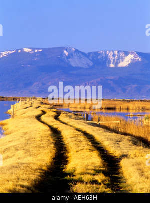 En route avec l'herbe d'hiver couvert de neige d'été Rim Lake State Wildlife Refuge Oregon Banque D'Images