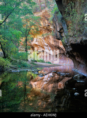 West Fork Oak Creek avec réflexion Red Rock Secret Mountain Wilderness Arizona Banque D'Images