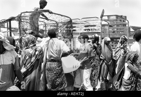 Aide alimentaire Somali Banque D'Images