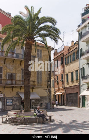 Un palmier parmi les maisons colorées et pittoresques de la ville de Loano pendant l'heure de la sieste dans le village de Ligurie Italie Banque D'Images