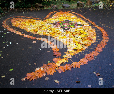 Feuille d'automne art design en stationnement sur Quartzville Creek, Oregon Banque D'Images