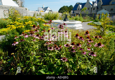 Voir des plantes médicinales poussant dans la Physic Garden Cowbridge Vale of Glamorgan South Wales UK Banque D'Images