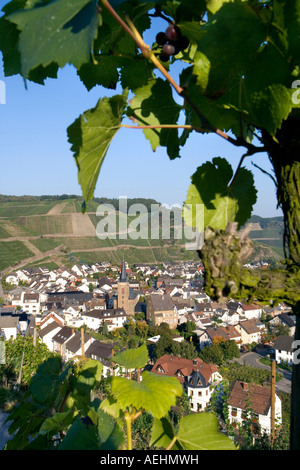 Dernau Allemagne Eifel Vallée de l'Ahr Banque D'Images