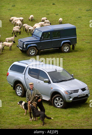 Un ÉLEVEUR DE BERGER AVEC SES VÉHICULES DE FERME ET UN TROUPEAU TONDU RÉCEMMENT SUR UNE FERME GLOUCESTERSHIRE UK Banque D'Images