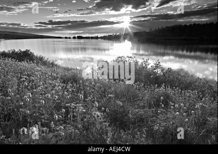 Poisson du lac avec des fleurs sauvages et coucher du soleil de montagne Steens Oregon Banque D'Images