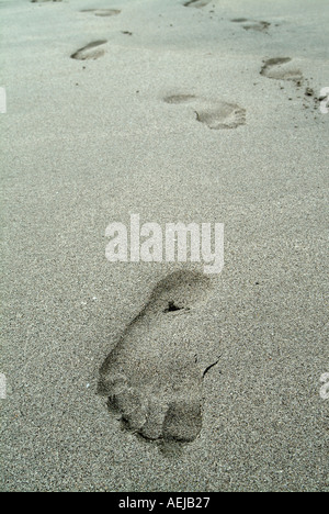 Empreintes sur Flamingo Beach, Costa Rica Banque D'Images