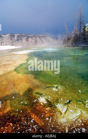 Mammoth Hot Springs, Parc national de Yellowstone, Wyoming, USA, United States of America Banque D'Images