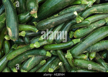 Courgettes légumes courgettes, moelle de bébé cultivée de manière biologique fraîchement cueillie au Farmers Market Queens Park, Londres Angleterre des années 2007 2000 UK HOMER SYKES Banque D'Images
