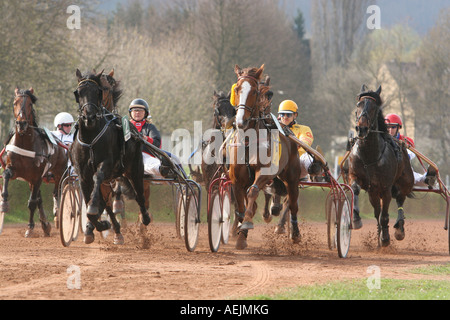 Course de trot de cheval Banque D'Images