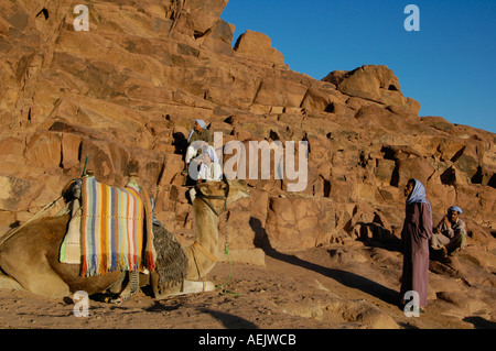 Bédouins de la tribu Tiyaha au sommet du mont Sinaï également connu sous le nom de Mount Horeb ou Jebel Musa dans la péninsule du Sinaï en Égypte Banque D'Images