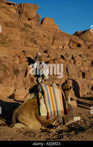 Bédouins de la tribu Tiyaha au sommet du mont Sinaï également connu sous le nom de Mount Horeb ou Jebel Musa dans la péninsule du Sinaï en Égypte Banque D'Images