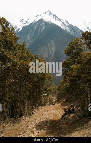 De montagnes en Chine Banque D'Images