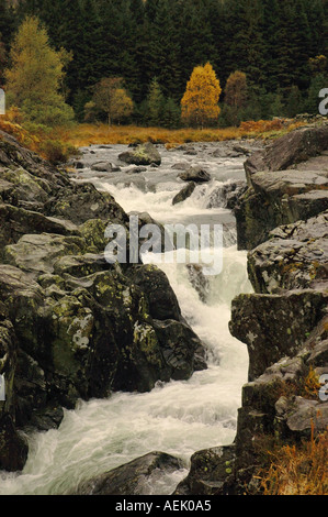 Juste au-dessus de rapides dans le pont Birks Duddon Valley Cumbria England UK Banque D'Images