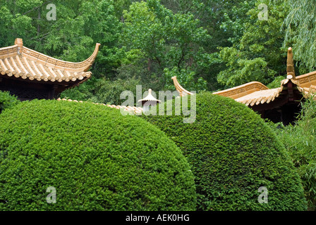 Jardin Chinois, Munich, Bavière, Allemagne Banque D'Images