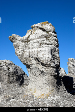 Dans les formes de calcaire sur l'île Îles Féroé, Gotland, Suède Banque D'Images