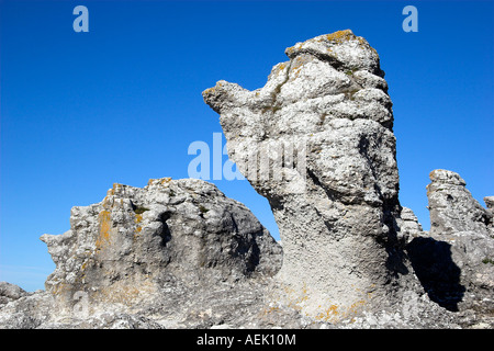 Dans les formes de calcaire sur l'île Îles Féroé, Gotland, Suède Banque D'Images