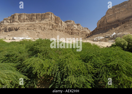 La tombe du prophète Hud, site de pèlerinage de Gabr Hud, Qabr Hud, Wadi Hadramaout, au Yémen Banque D'Images