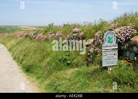 National Trust à côté de South West Coast Path sur sentier perché au-dessus de l'anse de l'Église près de meneau Banque D'Images