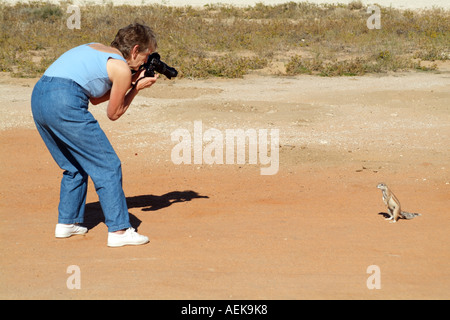 Tourist photographing un écureuil terrestre. RSA Afrique du sud du Kalahari Banque D'Images