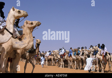 Mali Menaka près de Gao, les hommes de tribu touareg assis sur des chameaux Banque D'Images