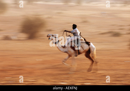Mali Andéramboukane, près de Gao, l'homme de tribu touareg chameau circonscription au cours de la race Banque D'Images