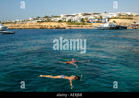 Touristes snorkeling dans la baie de Shark à Sharm el-Sheikh une ville de station située à la pointe sud de la péninsule du Sinaï, au sud du Sinaï Egypte Banque D'Images