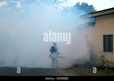 La fumigation pour tuer les moustiques Aedes pour prévenir la dengue à Terengganu, Malaisie Banque D'Images