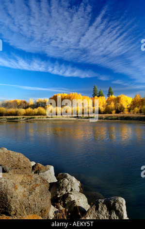 Couleur automne aspenn arbres et rivière Deschutes central Oregon Banque D'Images