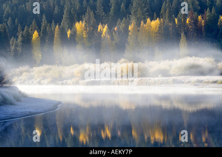 Couleur automne aspenn arbres et rivière Deschutes central Oregon Banque D'Images