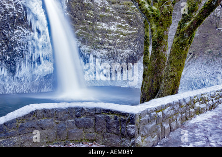 La prêle inférieur avec de la glace et les chutes de rochers Columbia River Gorge National Scenic Area Oregon Banque D'Images