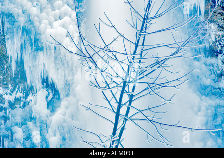 La prêle inférieur avec des chutes d'arbres couvertes de glace et les chutes de la gorge de la rivière Columbia National Scenic Area Oregon Banque D'Images