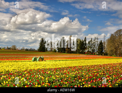 Tracteur John Deer à tulip Tulip Farm de sabots de bois déposée Woodburn, Oregon Banque D'Images