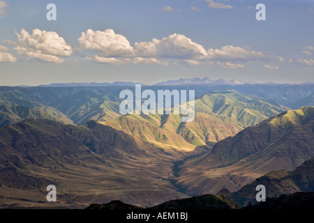 Vue depuis Buckhorn donnent sur l'Enfer s Canyon National Scenic Area Oregon Banque D'Images