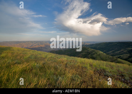 Vue depuis Buckhorn donnent sur l'Enfer s Canyon National Scenic Area Oregon Banque D'Images