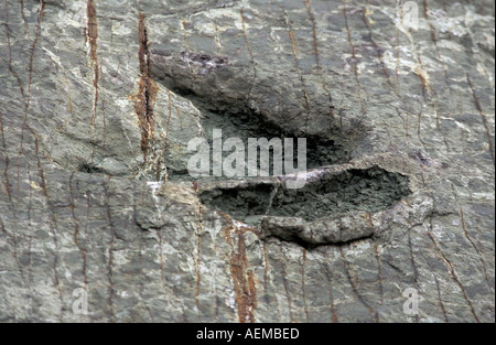 Cal Orko dinosaures montagne Un voyage populaire de Sucre 65 à 85 millions d'années imprime Close up de la Bolivie d'impression Banque D'Images