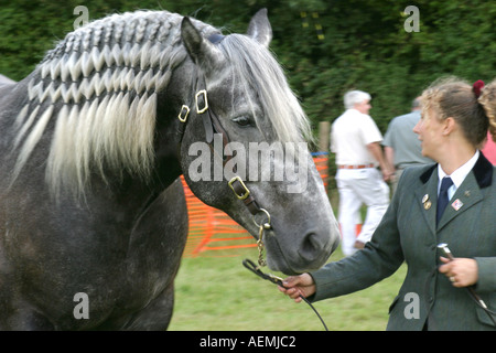 Le Cranleigh Show Août 2005 Banque D'Images