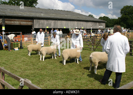 Le Cranleigh Show Août 2005 Banque D'Images