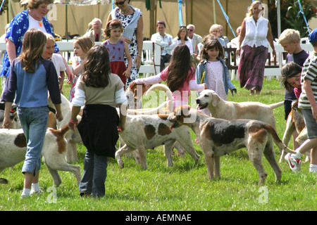 Le Cranleigh Show Août 2005 Banque D'Images