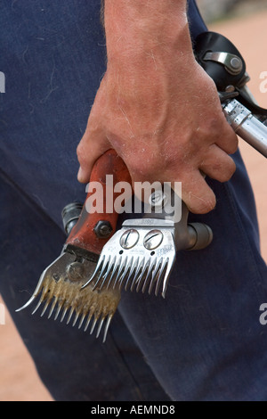 Outils de tonte de moutons Combs, tondeuses et pinces coupantes utilisés par la haveuse de bétail lors d'une démonstration au salon agricole d'ECT, à Grampian, en Écosse, au Royaume-Uni Banque D'Images