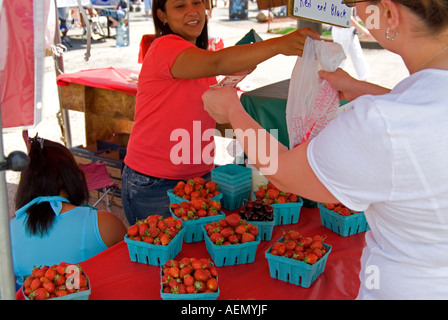 Femme de payer à l'achat à un stand de fruits Fraise Banque D'Images