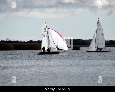 Bateau à voile sur la hickling vaste norfolk East Anglia englnd uk Banque D'Images