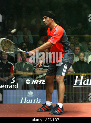 British Open Squash Tournament Men s Final 3 David Palmer AUS white v 5 Amr Shabana EGY rouge et noir, Palmer a gagné 14 16 11 7 13 1 Banque D'Images