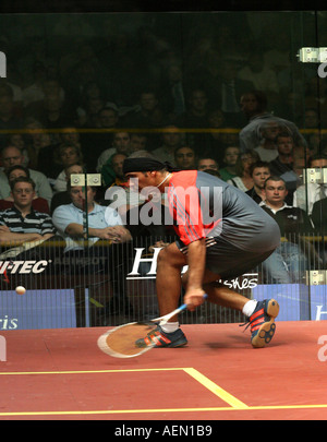 British Open Squash Tournament Men s Final 3 David Palmer AUS white v 5 Amr Shabana EGY rouge et noir, Palmer a gagné 14 16 11 7 13 1 Banque D'Images