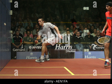 British Open Squash Tournament Men s Final 3 David Palmer AUS white v 5 Amr Shabana EGY rouge et noir, Palmer a gagné 14 16 11 7 13 1 Banque D'Images