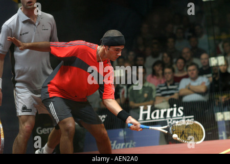 British Open Squash Championships finale jour Harris British Open Squash Tournament Men s Final 3 David Palmer AUS white v 5 Amr Banque D'Images